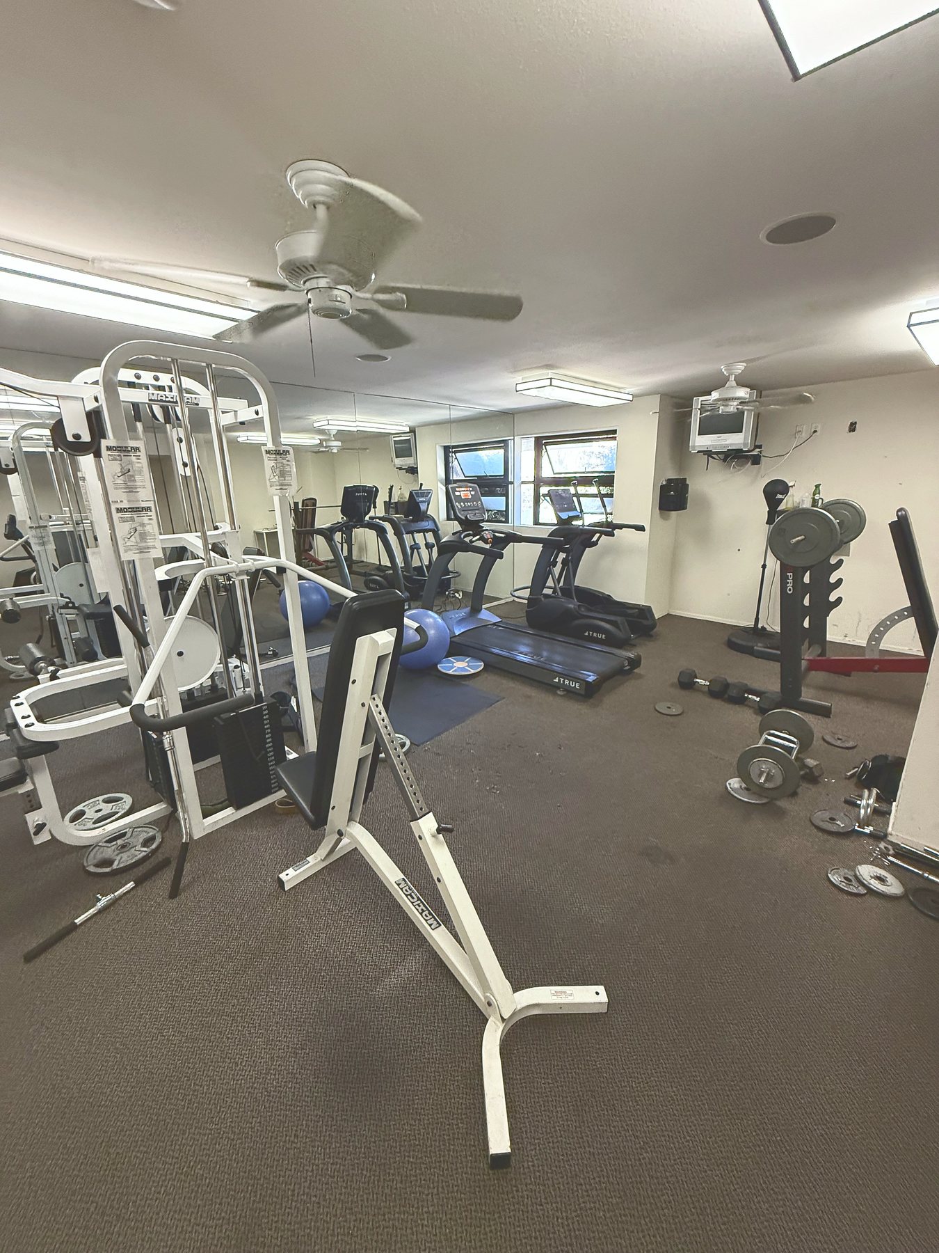 Sawtelle 3 Bed Condo rental photo